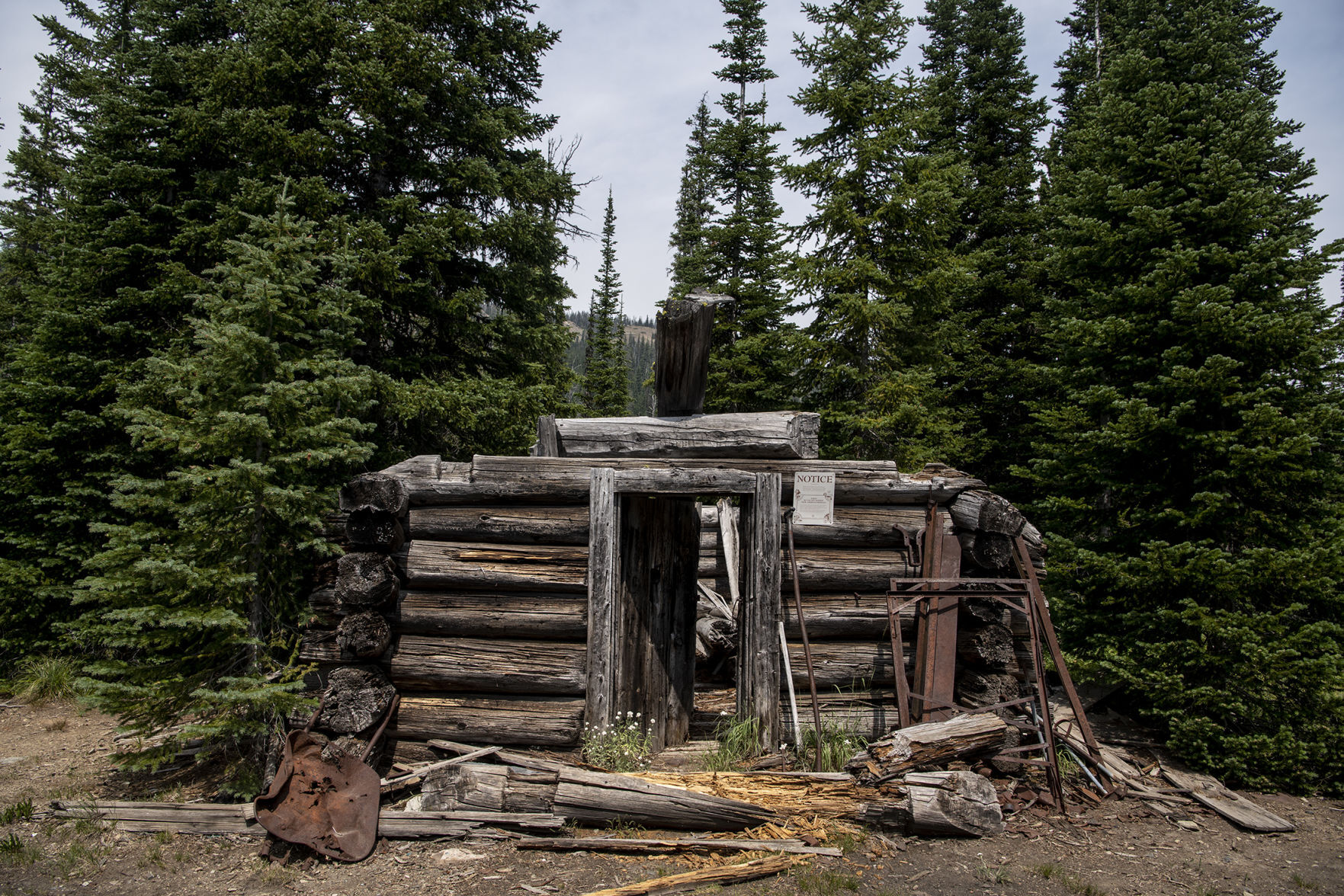 Territory: Rattlesnake Wilderness Area 09